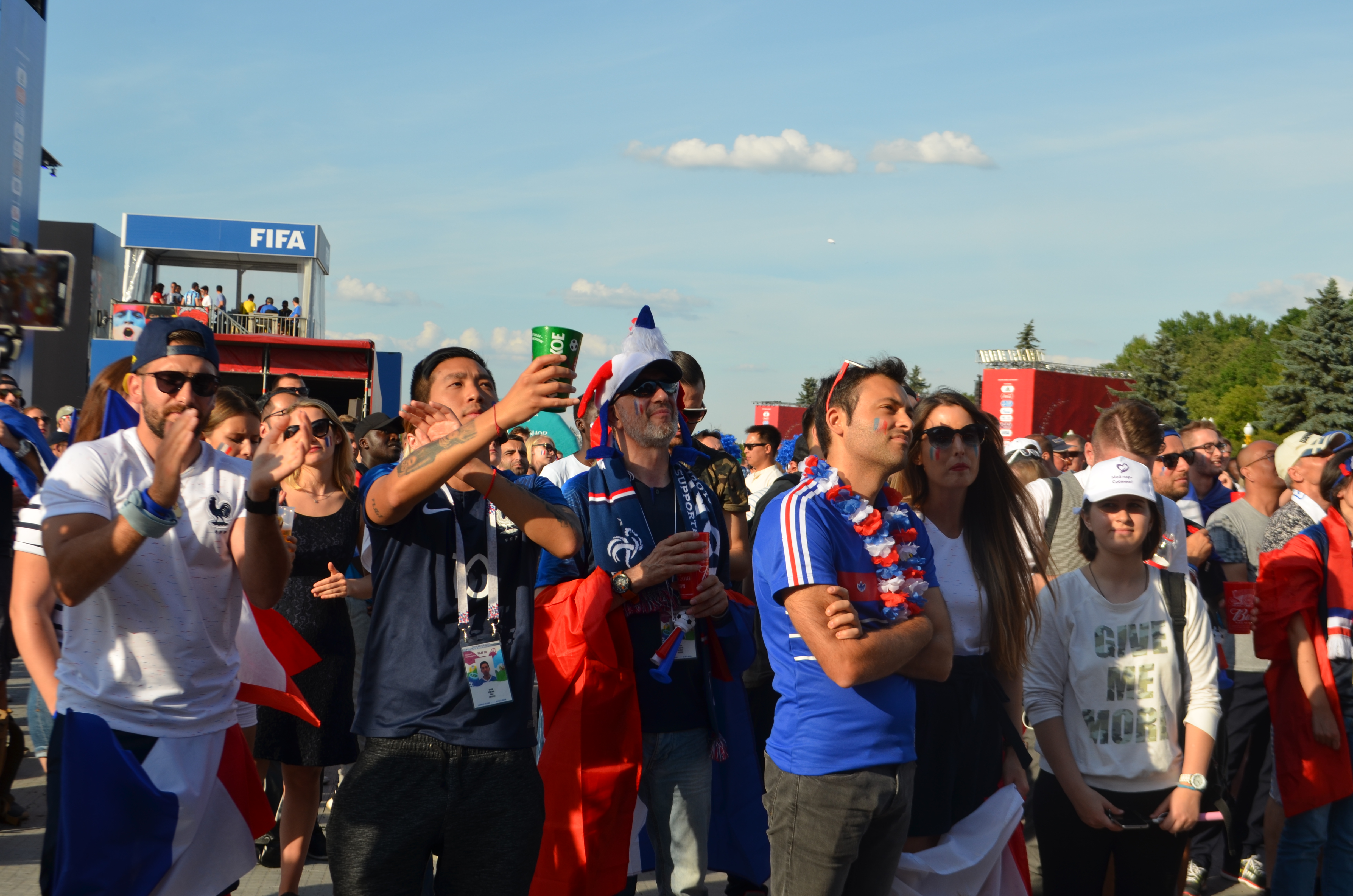 France supporters in national colors during a World Cup matchday